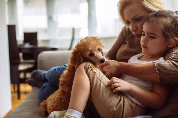 They are my best pals Shot of a mother and daughter sitting on a sofa with a cute puppy beautiful young brunette girl playing with her dog stock pictures, royalty-free photos & images