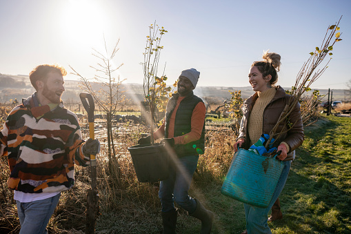 A group of volunteers wearing warm casual clothing and accessories on a sunny cold winters day. They are working in a field with young plants and trees on a community farm, planting trees and performing other sustainable and environmentally friendly tasks.