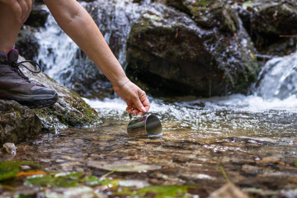 Thirsty tourist scoops fresh water into mug from stream in mountain stock photo