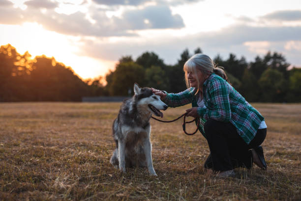 this dog make her happy - woman walk imagens e fotografias de stock