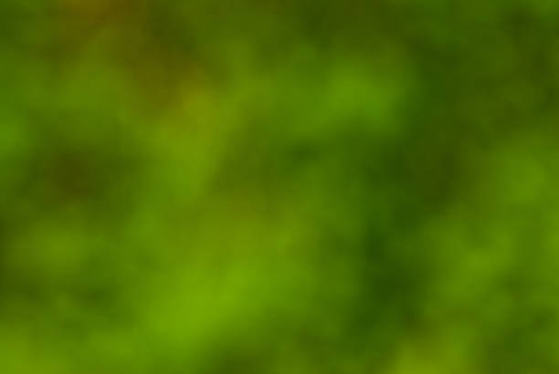 Green Out of Focus Background This green out of focus background was photographed in Edgewood, Washington State, USA. jeff goulden nature backgrounds stock pictures, royalty-free photos & images