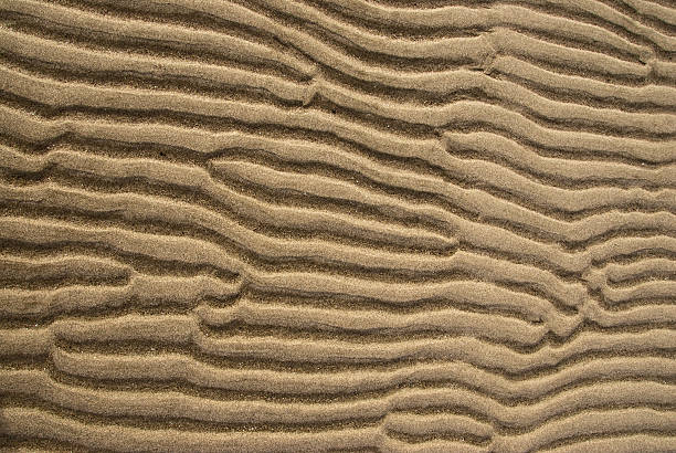 Wave Pattern in the Sand This naturally occuring wave pattern in the sand was photographed on the beach at Kala Point near Port Townsend, Washington State, USA. jeff goulden nature backgrounds stock pictures, royalty-free photos & images