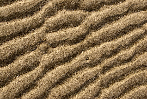Wave Pattern in the Sand This naturally occuring wave pattern in the sand was photographed on the beach at Kala Point near Port Townsend, Washington State, USA. jeff goulden nature backgrounds stock pictures, royalty-free photos & images
