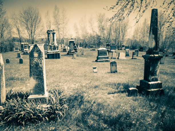 This place is an old cemetery. stock photo