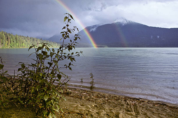 Rainbow Over a Lake in the Evening This rainbow appeared in the evening after a storm at Sandy Lake in Bowron Lakes Provincial Park near Barkerville, British Columbia, Canada. jeff goulden rainbow stock pictures, royalty-free photos & images