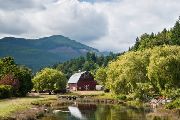 Rustic Red Barn Reflected in a Pond This rustic red barn is reflected in a pond on Highway 101 near Brinnon, Washington State, USA. jeff goulden reflection stock pictures, royalty-free photos & images