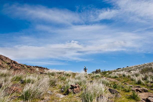 Hiker Reaches the Top of Cowiche Ridge This senior female hiker reaches the top of a ridge on the Cowiche Canyon Trail. Cowiche Canyon is near Yakima, Washington State, USA. jeff goulden people stock pictures, royalty-free photos & images