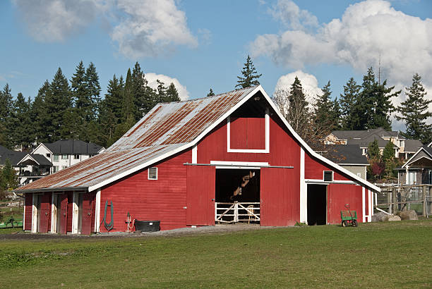 Old Red Barn and Puffy Clouds This well preserved barn is said to be over 100 years old. Here it is shown on a pleasant day with puffy clouds and blue sky. The historic barn sits on a small farm in Edgewood, Washington State, USA. jeff goulden puyallup washington stock pictures, royalty-free photos & images