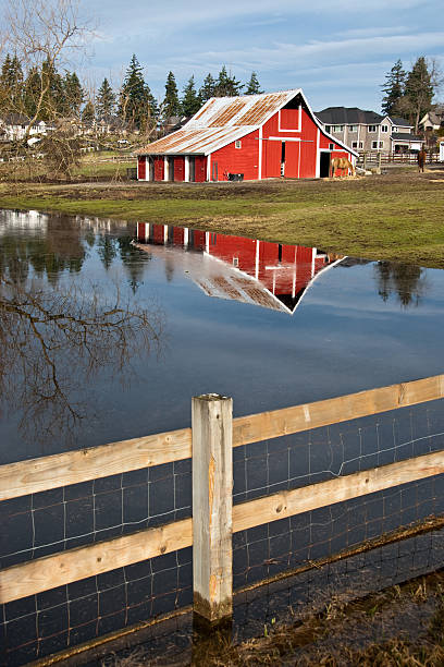 Red Barn Reflected in a Pond With Fence This well preserved barn is said to be over 100 years old. Here it is shown reflected in a pond clear winter day. The historic barn sits on a small farm in Edgewood, Washington State, USA. jeff goulden puyallup washington stock pictures, royalty-free photos & images
