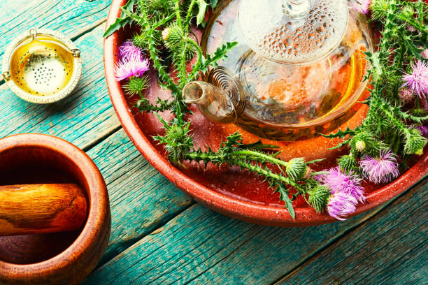 Thistle in herbal medicine stock photo