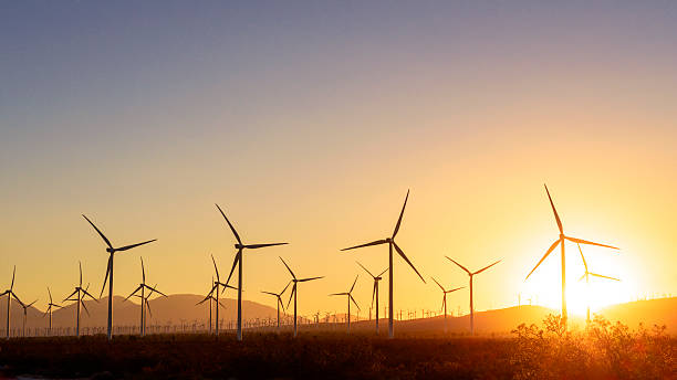 Thousands of wind turbines at sunset stock photo