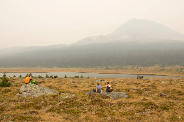 Sitting on boulders, a trio of hikers enjoy the peaceful grazing pair of woodland caribou with a nearly smoke obscured Clitheroe Peak in the background.