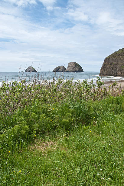 Three Arch Rocks The National Wildlife Refuges are great places to view and photograph wildlife. Often, the natural beauty of these treasured places can be more inspiring than the wildlife that live there. Some of the best landscape pictures are often taken at wildlife refuges. This seascape was photographed at the Three Arch Rocks National Wildlife Refuge near Tillamook, Oregon, USA. jeff goulden oregon coast stock pictures, royalty-free photos & images