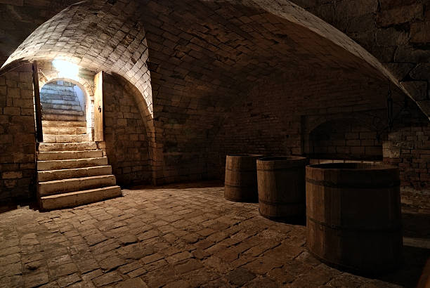 three barrels in the cellar - old stone stair stockfoto's en -beelden