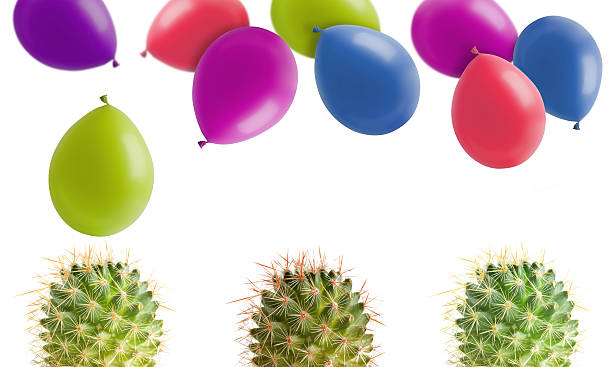 Three Cactuses and many balloons stock photo