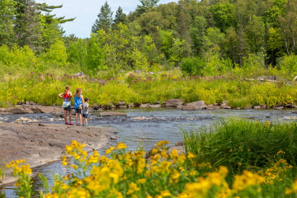 Three Children Exploring River in Woods Two sisters and their younger brother standing at the edge of a river in northern Minnesota woods. Taken at Jay Cooke State Park. state park stock pictures, royalty-free photos & images