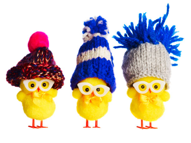 Three funny chicks wearing winter hats stock photo