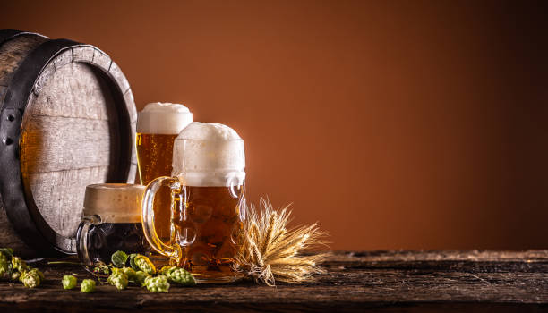 Three glasses with draft beer in front of a wooden barrel. Decoration of barley ears and fresh hops. stock photo