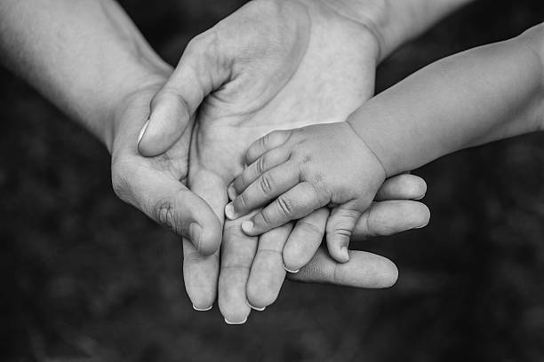 Three hands of the same family. Three hands of the same family - father, mother and baby stay together. Close-up. The concept of family unity, protection, support, prosperity, love and parental happiness. help single word photos stock pictures, royalty-free photos & images