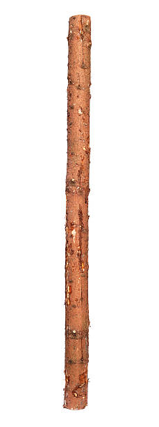 three metre long log isolated on white - boomstam stockfoto's en -beelden