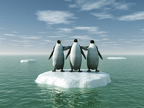 Three penguins on an ice floe stock photo
