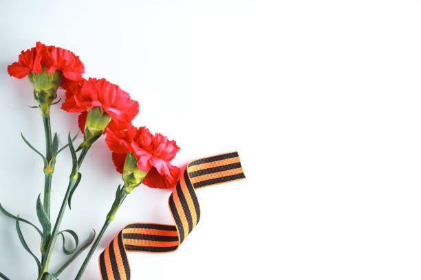 Three red carnations and St. George ribbon (Russian symbol) on a white uniform background. Greeting card for the holiday of the great victory of May 9. Three red carnations and St. George ribbon (Russian symbol) on a white uniform background. Greeting card for the holiday of the great victory of May 9. spices of the world stock pictures, royalty-free photos & images