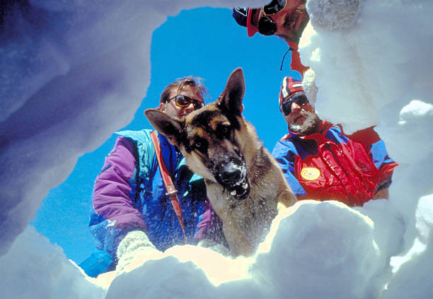 Three rescuers with dog in the snow, mountains in winter stock photo