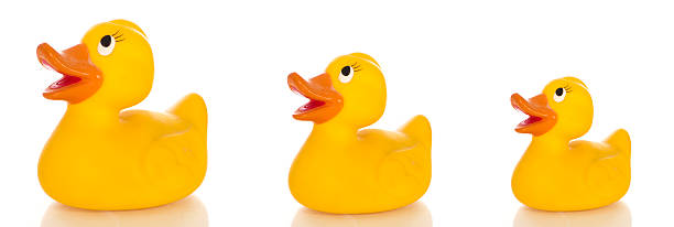 Three rubber ducks stock photo