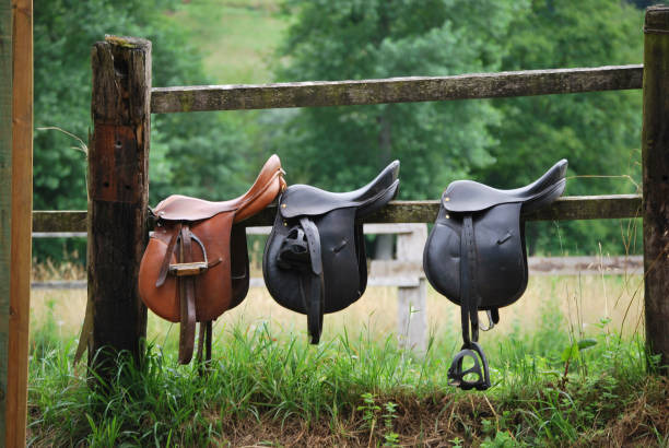 Three saddles Leather saddles ready to put on the horseback stirrup stock pictures, royalty-free photos & images