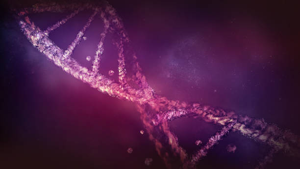 Three-dimensional DNA strand in virtual space, 3D render. stock photo