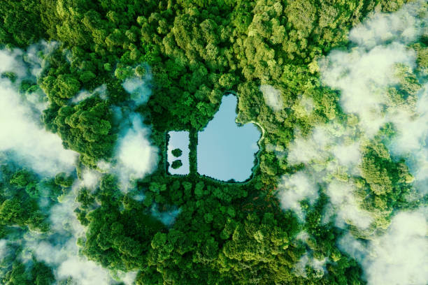 Thumbs up icon - like icon in the form of a clear pond in the middle of a lush virgin forest. 3d rendering. stock photo