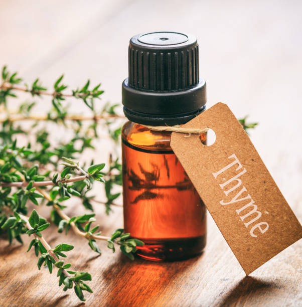 Thyme essential oil and fresh leaves on wooden background Fresh thyme plant leaves and essential oil on wooden background. Thymus aromatic perennial evergreen herb is a culinary herb used for cooking thyme photos stock pictures, royalty-free photos & images