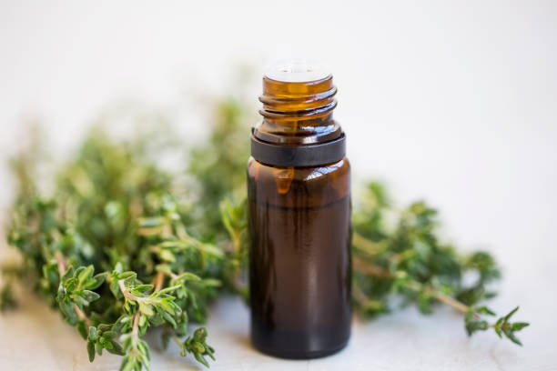 Thyme essential oil bottle with bunch of thyme herb. close up stock photo