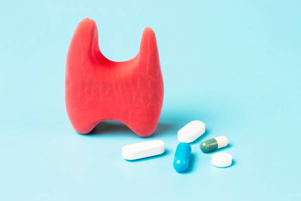 Thyroid model and pills on blue background front view, copy space stock photo