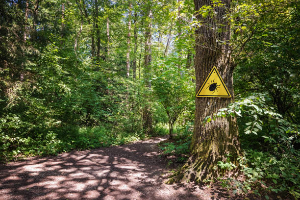 tick insect warning sign in forest. - lyme stockfoto's en -beelden