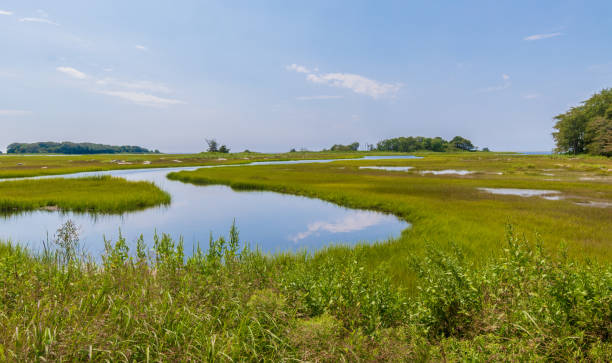 Tidal creek meanders through a salt marsh stock photo