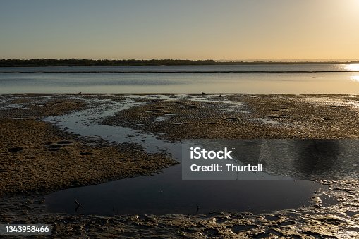 istock Tidal Sand Flats Of Pumicestone Passage, Bribie Island, Australia 1343958466