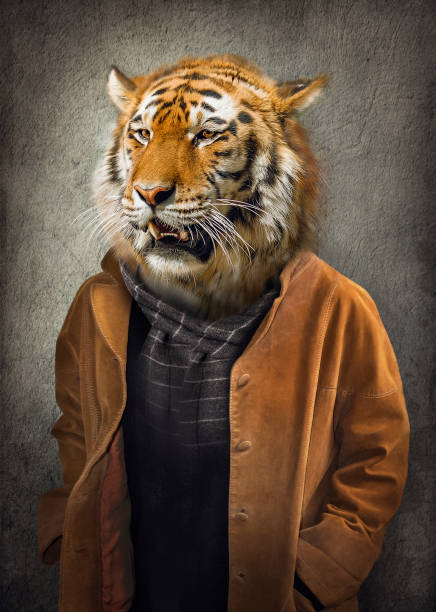 Tiger in clothes. Man with a head of an tiger. Concept graphic in vintage style with soft oil painting style stock photo