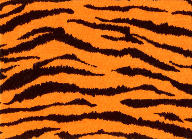 Tiger Print stock photo