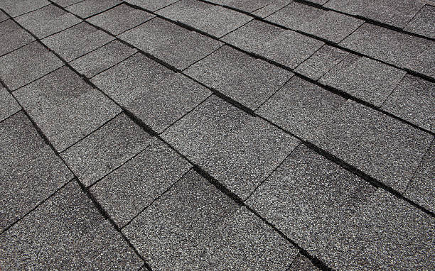 Tile Roof A black tile roof.Please see some similar pictures from my portfolio: shingles stock pictures, royalty-free photos & images