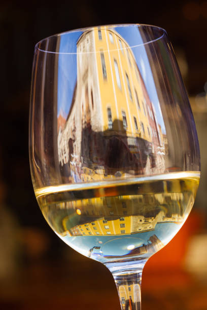 tilt vitt vin glas - copa de vino blanco inclinada - copa de vino bildbanksfoton och bilder