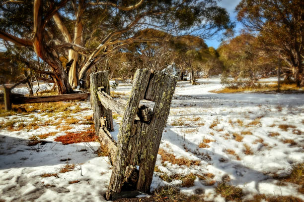 Timber fence in snow Split rail fence in snow at Dinner Plain high country stock pictures, royalty-free photos & images