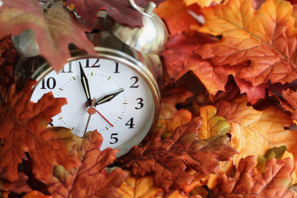 Time Change Daylight Savings Buried in Autumn Leaves Vintage alarm clock buried underneath colorful fallen autumn leaves with shallow depth of field. Daylight savings time concept with clock hands at almost 2 am. buried stock pictures, royalty-free photos & images