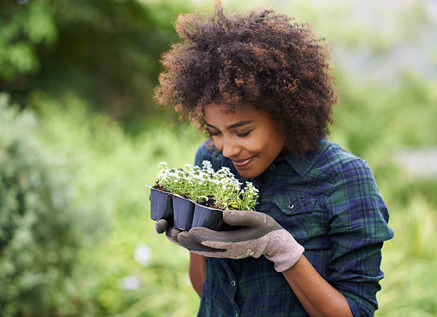Time to get you in the ground Shot of a happy young woman holding a tray of seedlings for the garden smelling stock pictures, royalty-free photos & images