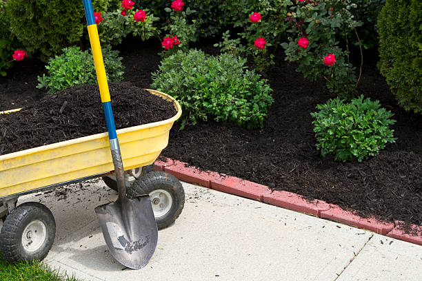 Time to Mulch Its about that time to mulch around the neigboorhood. mulch stock pictures, royalty-free photos & images