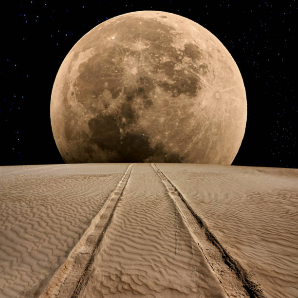 Tire Track on Desert at Supermoon Night stock photo