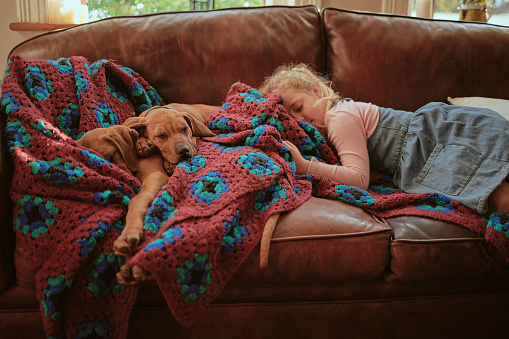 Woman using a laptop with her daughter and pet dog sleeping together next to her