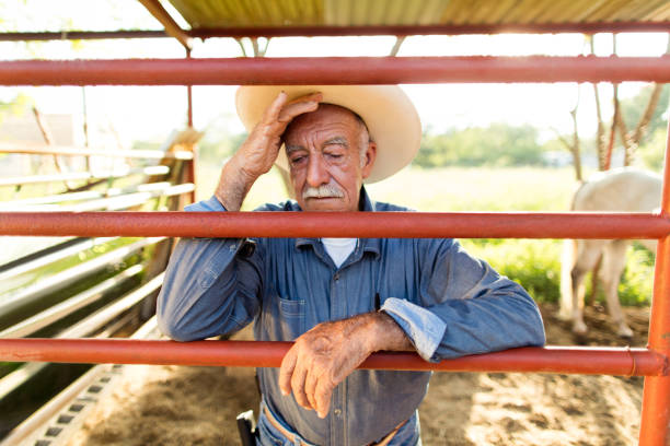trött senior mexikansk man lutar på staket av hästranch - working stable horses bildbanksfoton och bilder
