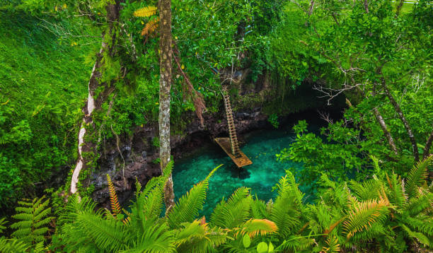 To Sua ocean trench - famous swimming hole, Upolu, Samoa To Sua ocean trench - famous swimming hole, Upolu, Samoa, South Pacific apia samoa stock pictures, royalty-free photos & images