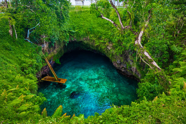 To Sua ocean trench - famous swimming hole, Upolu, Samoa, South Pacific To Sua ocean trench - famous swimming hole, Upolu island, Samoa, South Pacific apia samoa stock pictures, royalty-free photos & images